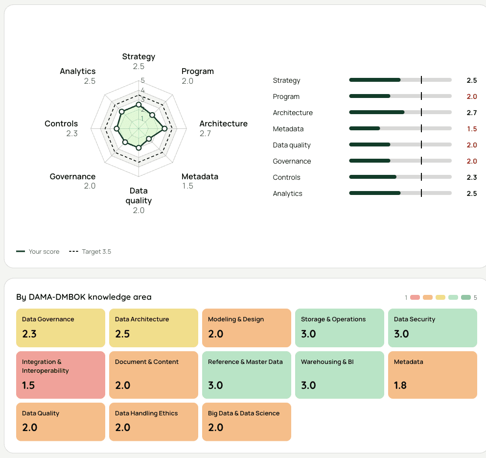 A sample data management page from the report: a radar chart of eight capability areas against a target, and a colour-coded grid of thirteen data management knowledge areas.